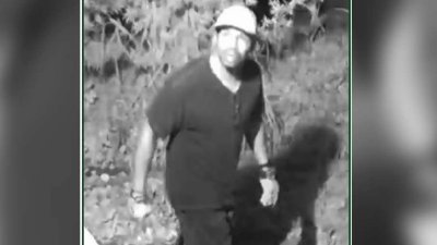 Buscan a sospechoso de robar en negocios de Dunedin
