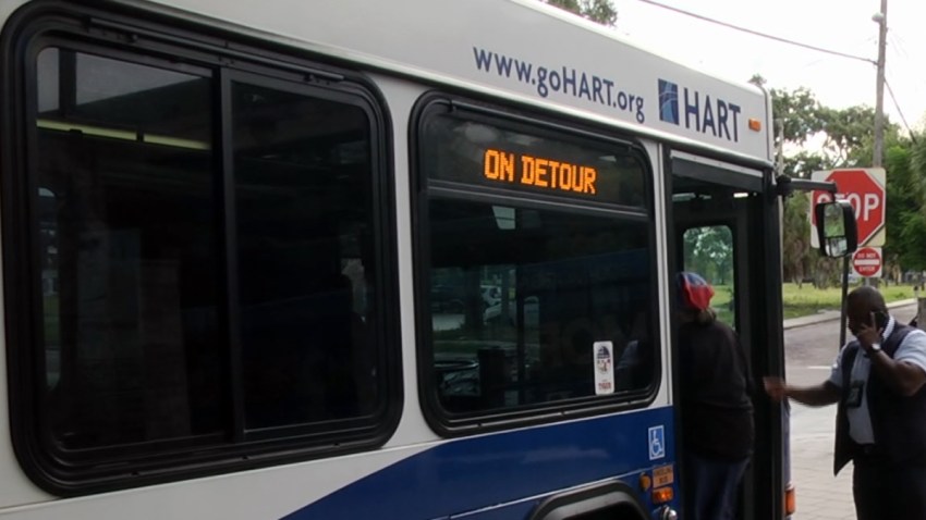 HART TAMPA TLMD TAMPA