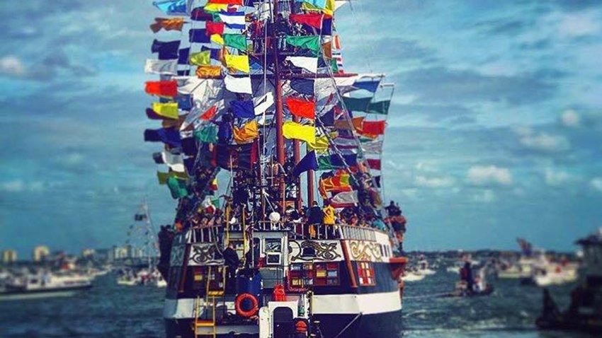 gasparilla TLMD TAMPA