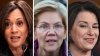 Desde Harris, hasta Warren o Klobuchar: las mujeres que podrían acompañar a Biden en la papeleta