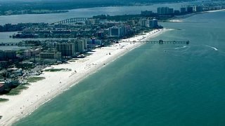 marea roja florida TLMD TAMPA