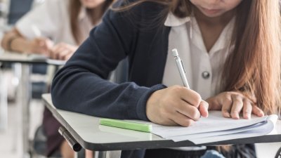 ¿Cuánto comienzan las otras escuelas de la Bahía de Tampa?