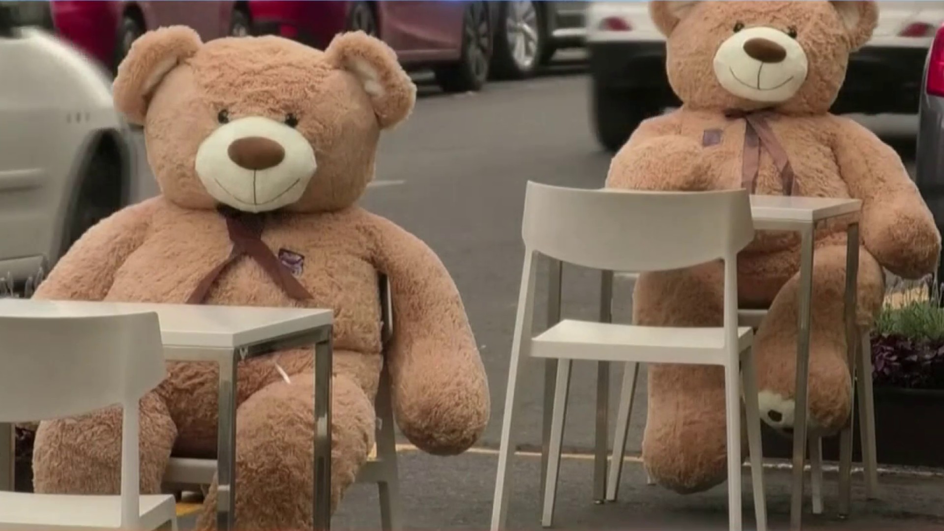oso de peluche para 15 años