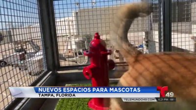 Parque para perros en aeropuerto de Tampa