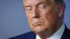 Elecciones en Michigan: líderes republicanos descartan fraude y refutan a Trump