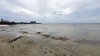 Baja la marea en playas de la Bahía de Tampa ¿Por qué esto ocurre?