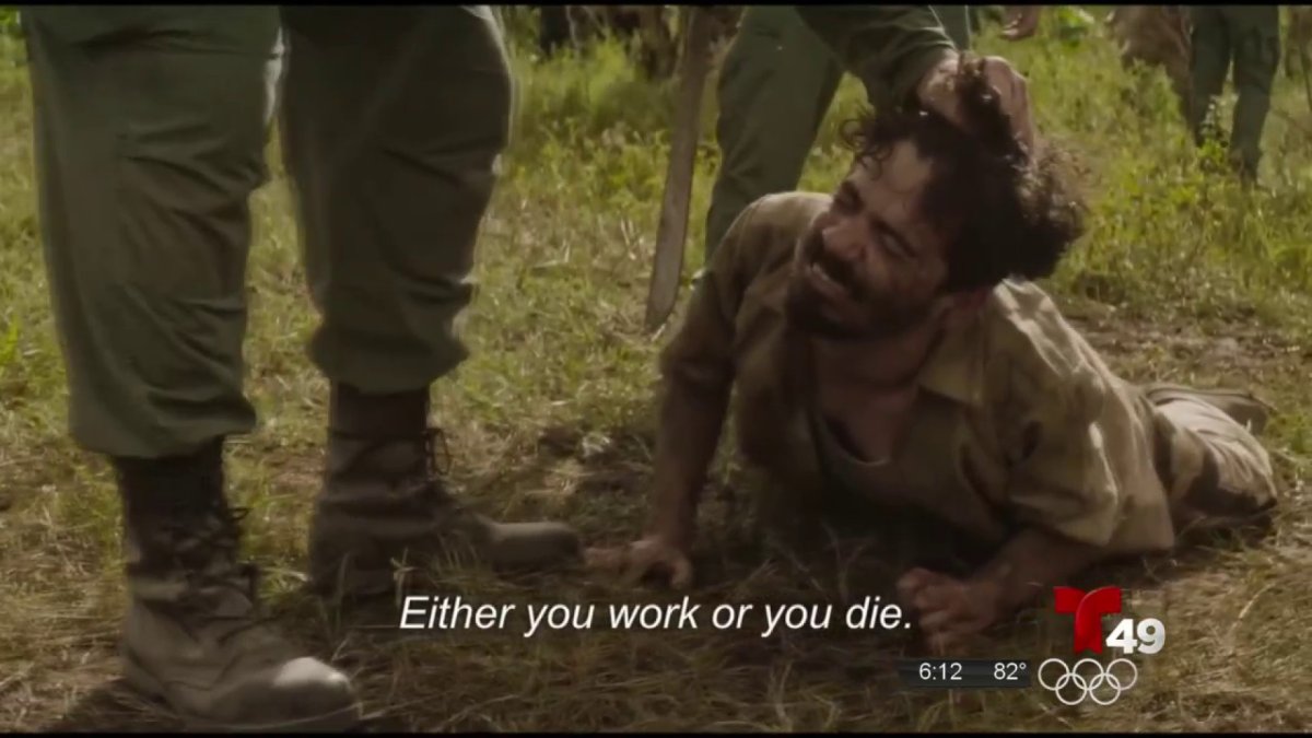 Exclusivo Estrena en Tampa la película “Plantados