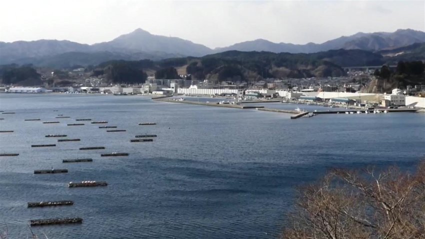 Japón decide verter al Pacífico el agua de la planta nuclear de Fukushima