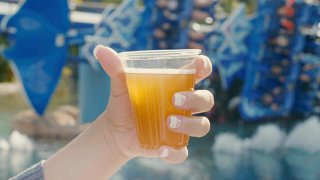 SeaWorld ofrece cerveza gratis para sus visitantes