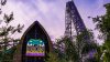 Iron Gwazi de Busch Gardens ya tiene fecha de apertura