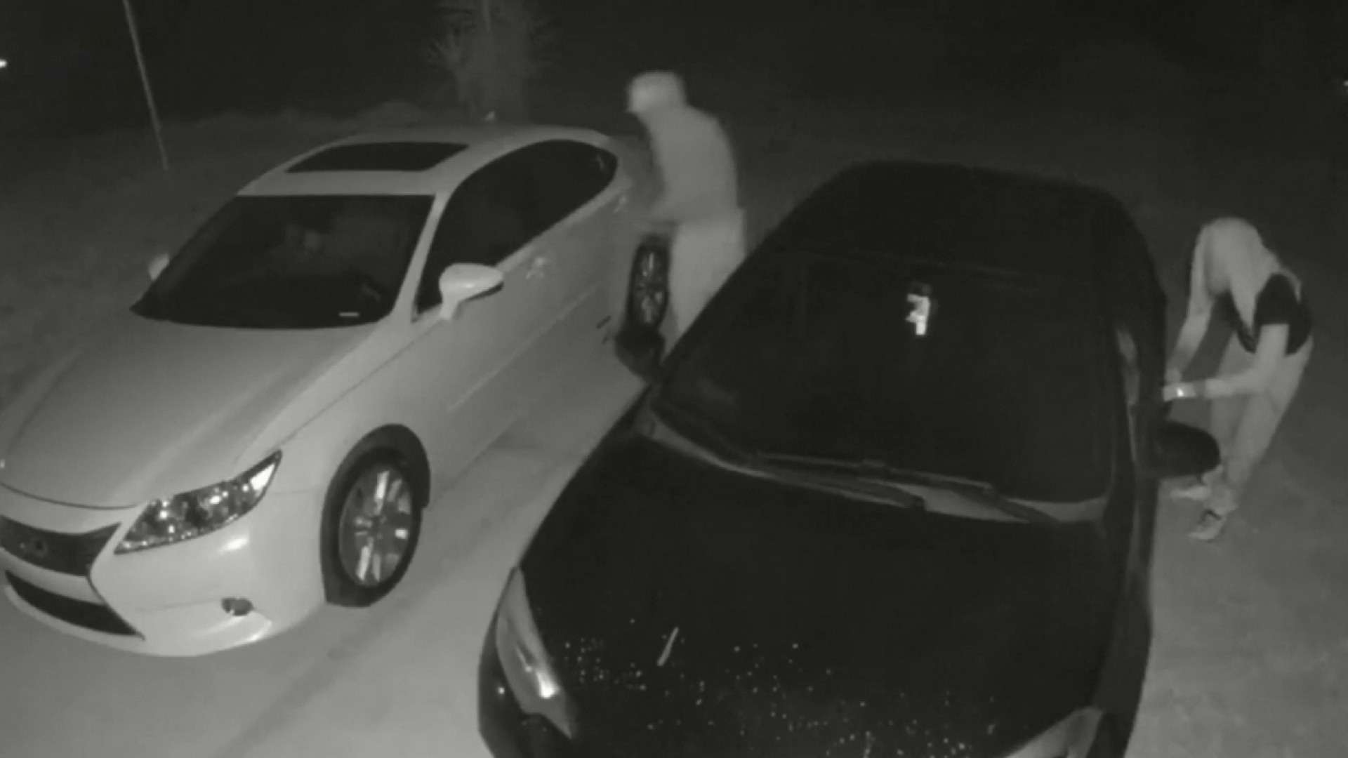 Buscan a posibles involucrados en robo de carros en Lee – Telemundo Tampa  (49)