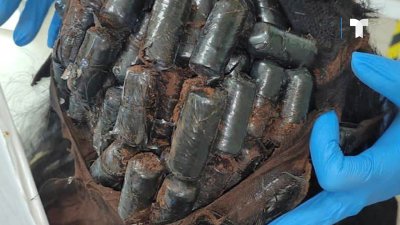 “Narcopelucas”: sentencian a mujeres capturadas con cocaína oculta en sus cabellos en el aeropuerto