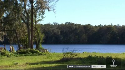 Invitan a participar en “Keep Tampa Bay Beautiful”