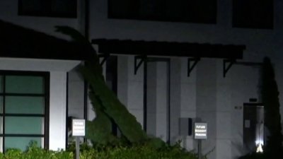 Bandidos se aprovechan de la tragedia: reportan incidentes de robo tras el azote de Ian