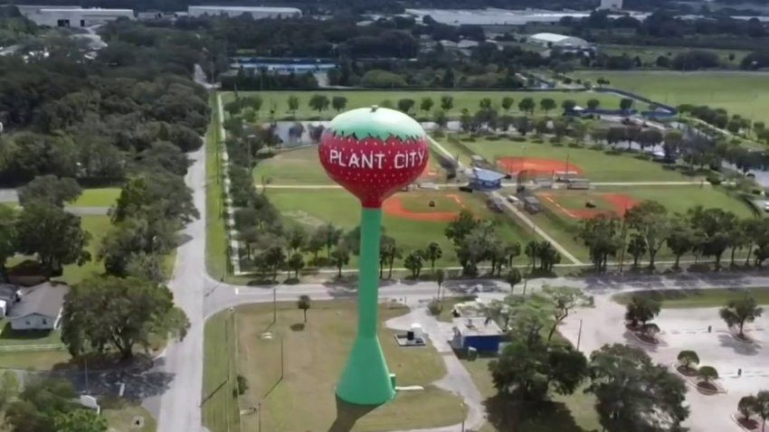 Esta es la historia de Plant City, una ciudad agrícola