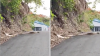 Impresionante video: capturan monstruosa pitón reticulada cruzando la carretera