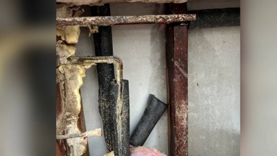 Bajas temperaturas provocan estragos y ruptura de tuberías en Texas