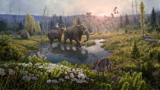 Reconstrucción de la formación Kap København hace dos millones de años, en una época en la que la temperatura era significativamente más cálida que la del extremo norte de Groenlandia en la actualidad.
