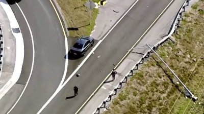 Investigan accidente de tránsito fatal en Tampa