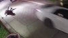 En video: policía de Sarasota vuela por los aires tras ser embestido por sospechoso en auto robado