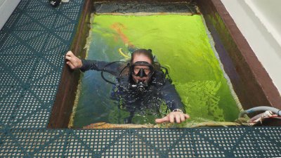 Impresionante: profesor vivirá 100 días bajo el agua para hacer investigaciones médicas