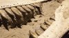 Los dientes del tiranosaurio no sobresalían cuando tenían la boca cerrada, indica nueva investigación