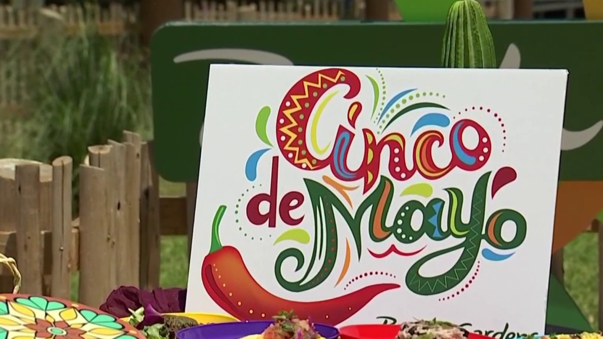 Cinco De Mayo Tampa 2025