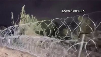 Hasta con alambres de púas, Texas se prepara para frenar ola de migrantes en la frontera