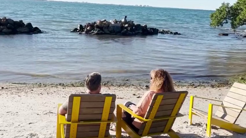 Nombran a Sarasota como mejor lugar para vivir