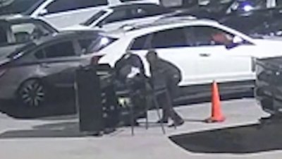 Robo de autos lujosos en servicios de estacionamiento en Tampa