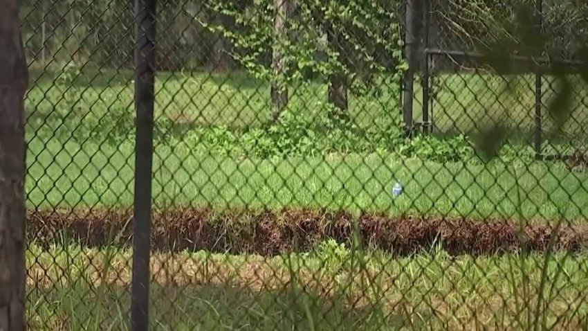 Comienzan a rellenar socavón que se abrió en condado Hillsborough