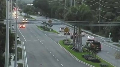 Adolescente es arrestado por arrollamiento intencional en Manatee