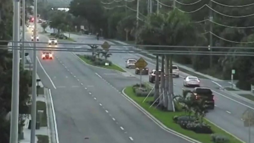 Adolescente es arrestado por arrollamiento intencional en Manatee