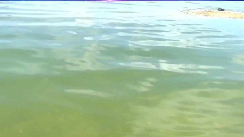 Preocupación de residentes por mala calidad de agua en Manatee