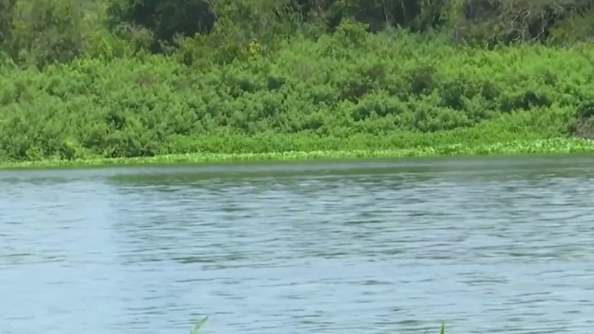 Votación ardiente sobre desarrollo en áreas verdes de Manatee