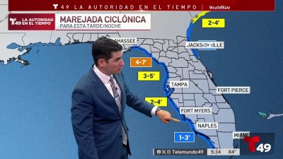 Pico de la marejada ciclónica en la Bahía de Tampa por Idalia
