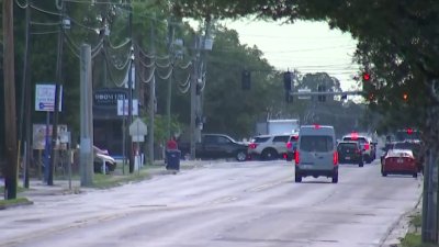 Investigan muerte de ciclista tras accidente en Tampa