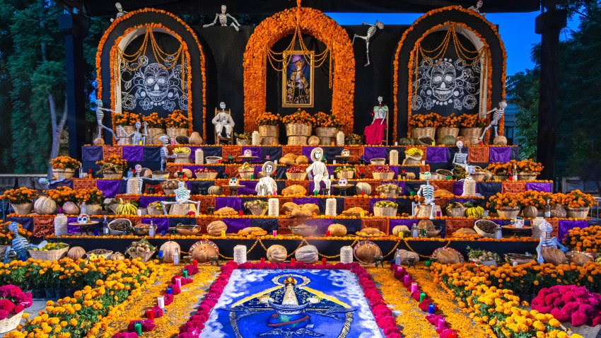 This is a a Day of the Dead altar at a public shrine in the historic city center of Oaxaca, Mexico.