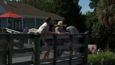 Reabre centro para ver manatíes en Hillsborough