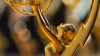 Telemundo 49, Telemundo Ft. Myers Naples y Telemundo 31 ganan en 6 categorías de los Suncoast Emmy