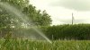Entran en vigor restricciones del uso del agua en condado Hillsborough