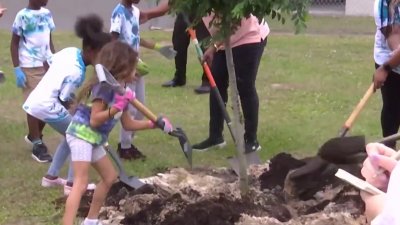 Niños celebran el Día de la Tierra en Hillsborough plantando árboles
