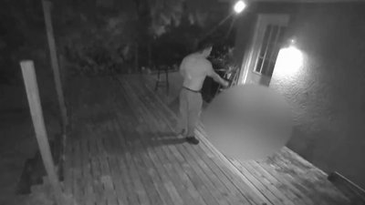 VIDEO: Hombre le dispara en la cara a su perro en vivienda Lehigh Acres