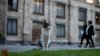 México: el gobierno les asegura cuidados y comida a los 19 gatos que viven en el Palacio Nacional