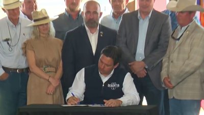 Gobernador Desantis firma ley en el condado Hardee para proteger e impulsar la industria ganadera