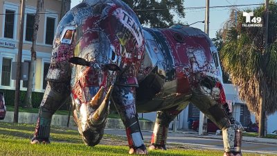 Luis Felipe López: Transformando metal en arte | Esculturas sostenibles que cautivan Tampa