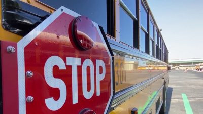 Buscan conductores de autobuses escolares en el condado Manatee