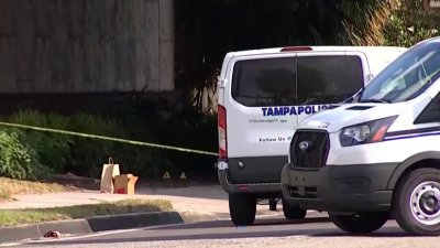 Investigan hallazgo de cuerpo sin vida en Tampa