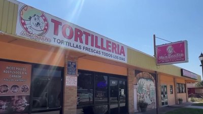 Investigan balacera frente a restaurante mexicano en Clearwater