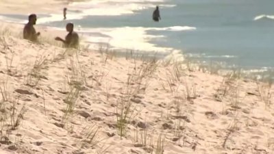 Acuerdo interlocal para abordar erosión de playas en el condado Lee